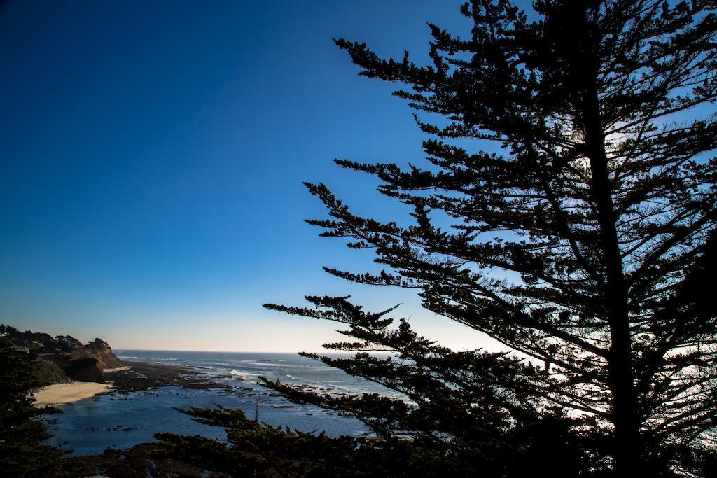 シール コーブ イン Moss Beach エクステリア 写真