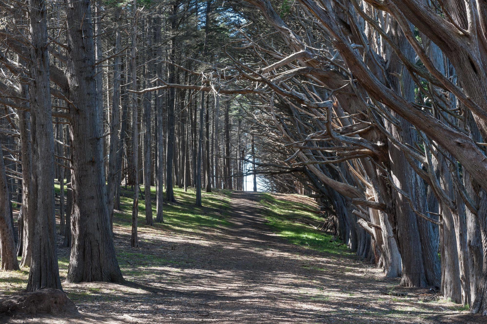 シール コーブ イン Moss Beach エクステリア 写真