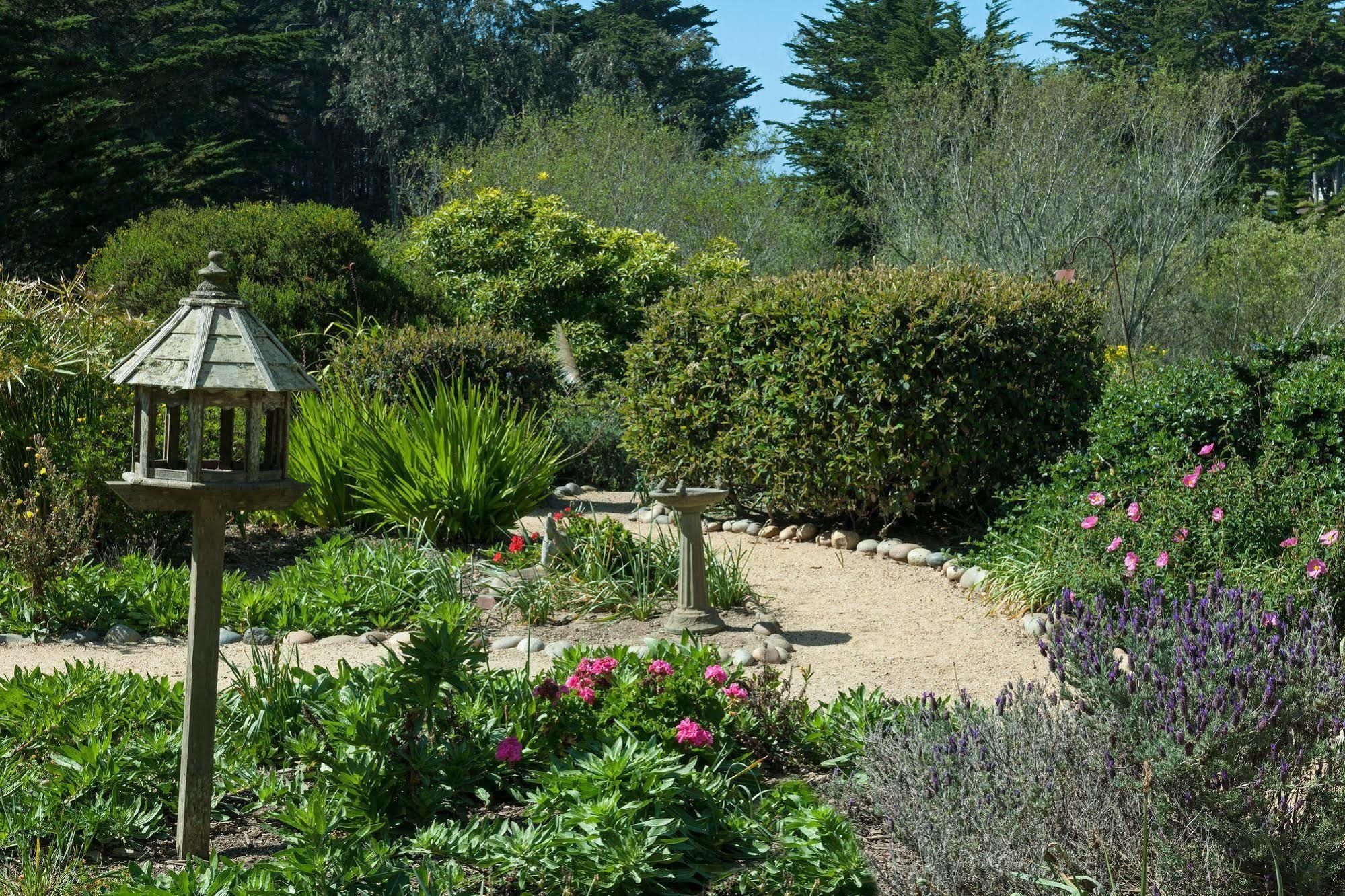 シール コーブ イン Moss Beach エクステリア 写真